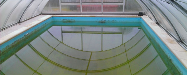 zielona woda w basenie