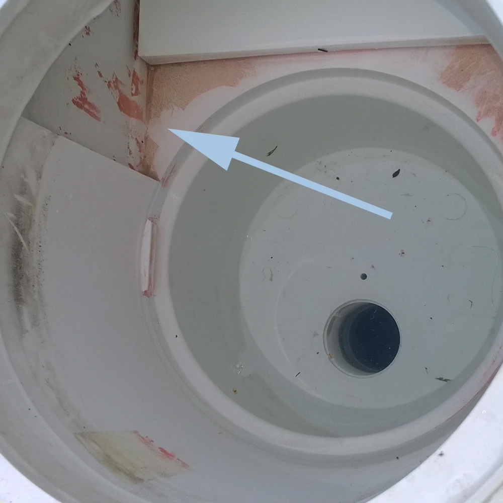 widoczny różowy śliski nalot wewnątrz skimmera